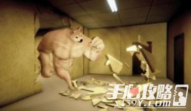 后室逃脱手机版