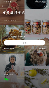 掌上洛南app