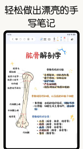 自由笔记app