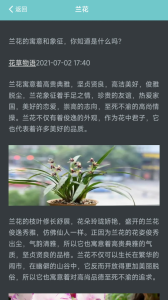 我的花店