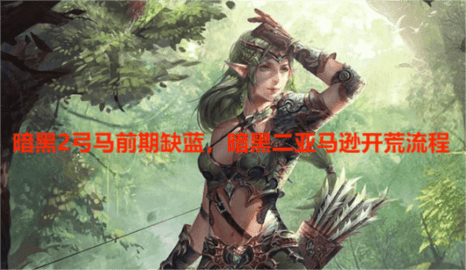 暗黑2弓马前期缺蓝，暗黑二亚马逊开荒流程