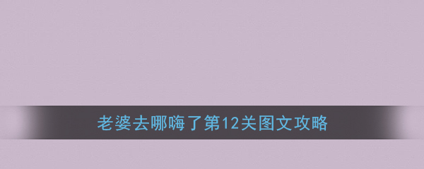 老婆去哪嗨了第12关怎么过