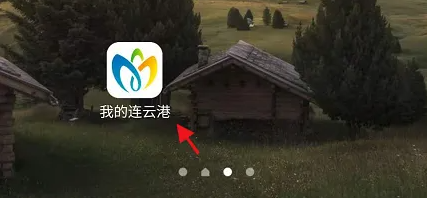 我的连云港怎么看驾驶证 我的连云港查看个人的驾驶证方法
