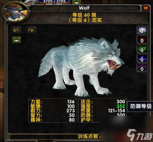 魔兽世界怀旧服猎人宝宝哪个好用？[魔兽世界]