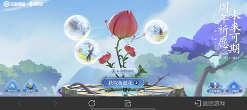 王者荣耀祈愿花怎么用