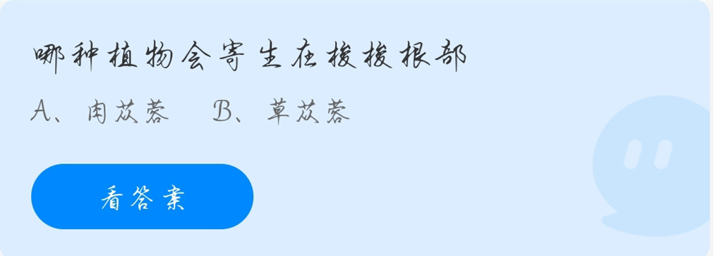 蚂蚁庄园11月23日答案最新