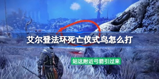 艾尔登法环死亡仪式鸟打法攻略