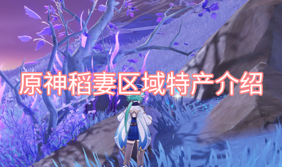原神稻妻区域特产介绍