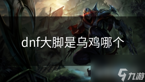 dnf大脚是乌鸡哪个