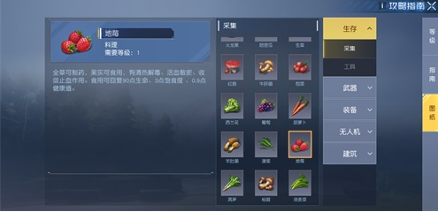 黎明觉醒地莓作用介绍