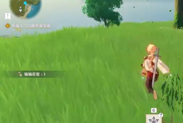 原神冰霜骗骗花位置介绍