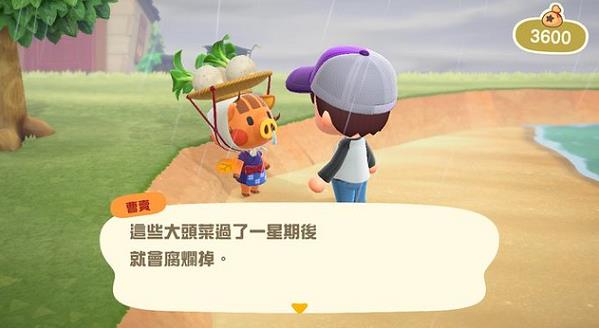 动物森友会鲨鱼月份时间地点介绍