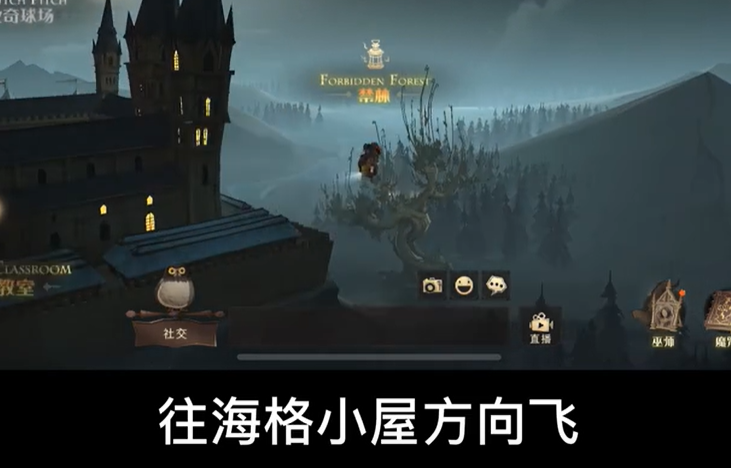 哈利波特魔法觉醒拼图有人吗