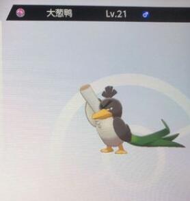 宝可梦剑盾大葱鸭抓取位置方法介绍