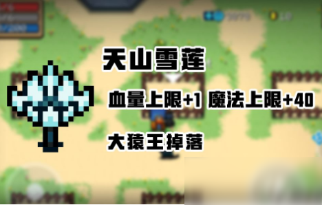 元气骑士冰山雪莲有什么用