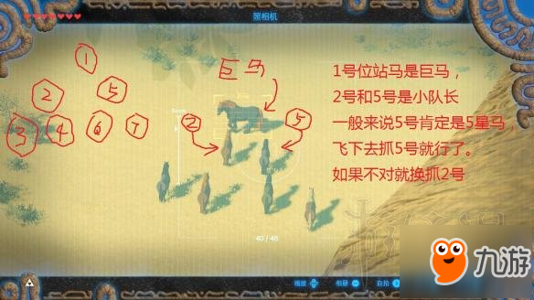 《塞尔达传说：荒野之息》马在哪里抓？顶级野马快速获得方法