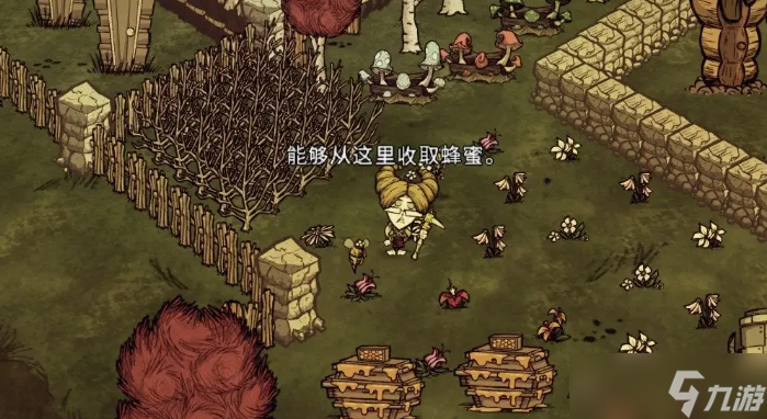饥荒联机版怎么建房子躲雨