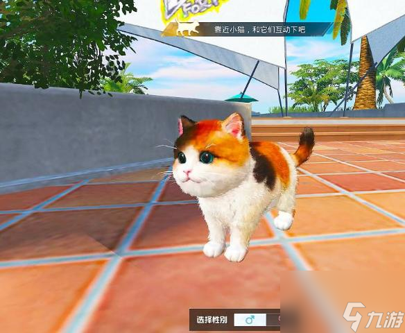 和平精英流浪猫怎么获得？