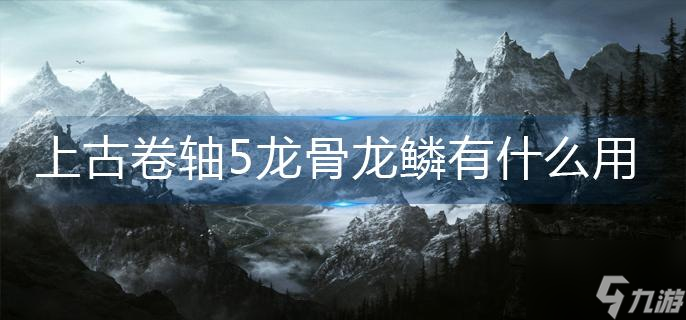 上古卷轴5龙骨龙鳞有什么用