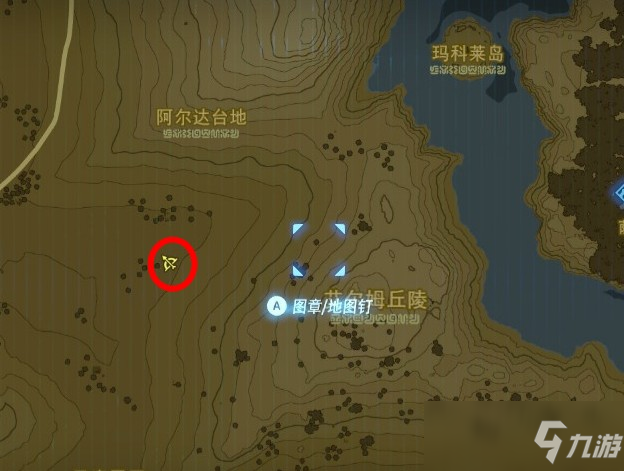 塞尔达莱尼尔位置
