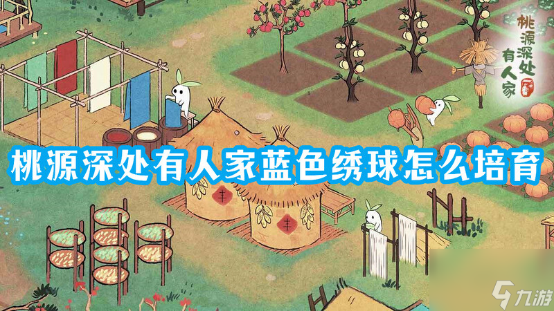 桃源深处有人家蓝绣球怎么弄