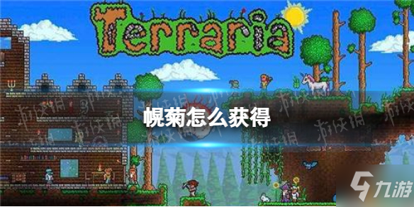 《泰拉瑞亚》幌菊怎么获得 幌菊获得途径攻略