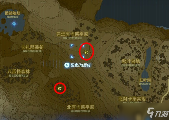 塞尔达莱尼尔位置