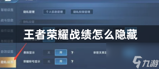 王者荣耀战绩隐藏方法_王者荣耀战绩怎么隐藏