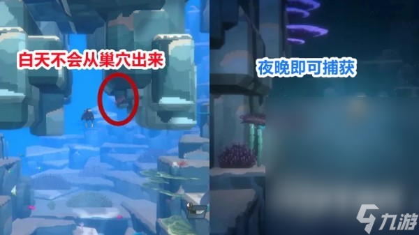 潜水员戴夫夜晚怎么潜水
