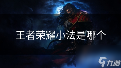 王者荣耀小法是哪个