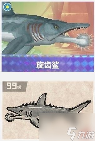 潜水员戴夫旋齿鲨在哪抓