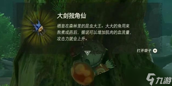 王国之泪大剑独角仙哪里买