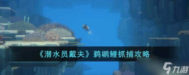 潜水员戴夫鹈鹕鳗怎么抓-鹈鹕鳗抓捕攻略