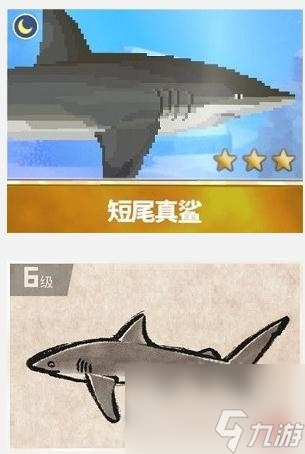 潜水员戴夫短尾真鲨在哪抓
