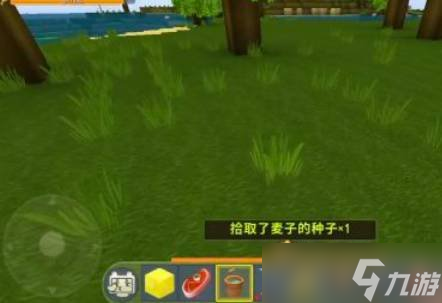 迷你世界小麦种子怎么获得 小麦种子获得方法