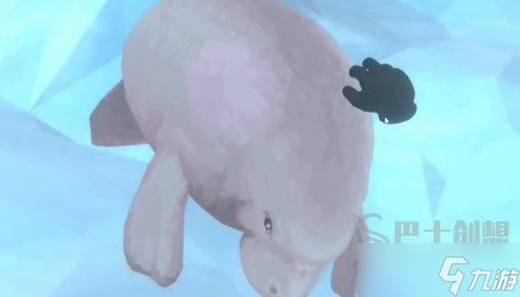 潜水员戴夫怎么安抚小海牛 潜水员戴夫安抚小海牛任务攻略