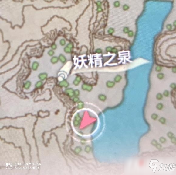 《宝可梦传说阿尔宙斯》皮皮在哪里抓