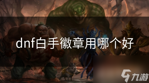 dnf白手徽章用哪个好