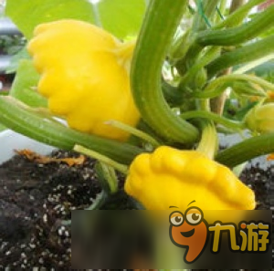植物大战僵尸2植物原型是什么 植物原型盘点