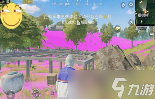 富婆的游戏主页和平精英〖和平巅峰富婆的名字〗