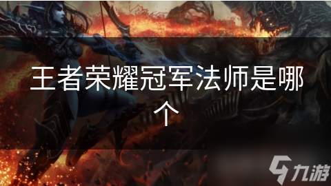 王者荣耀冠军法师是哪个