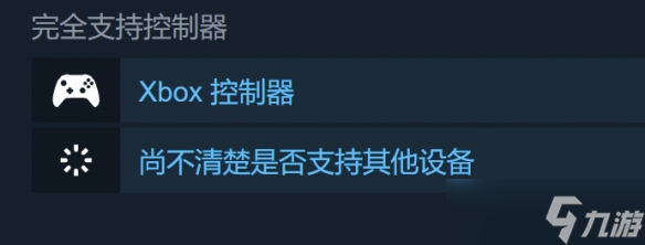 《永恒光辉》手柄支持情况介绍