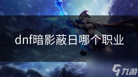 dnf暗影蔽日哪个职业