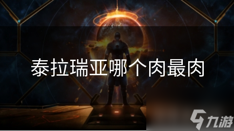 泰拉瑞亚哪个肉最肉