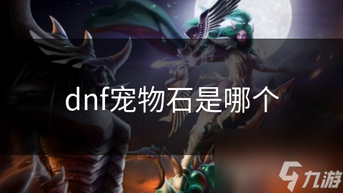 dnf宠物石是哪个