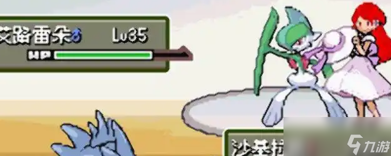 《口袋妖怪无界》全功能NPC在哪里介绍