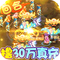 武道将魂（刷30万真充）