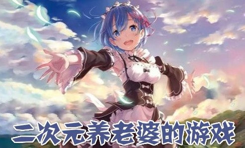 2次元手游养老婆合集